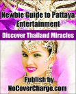 Newbie Guide to Pattaya Entertainment free Kindle Download